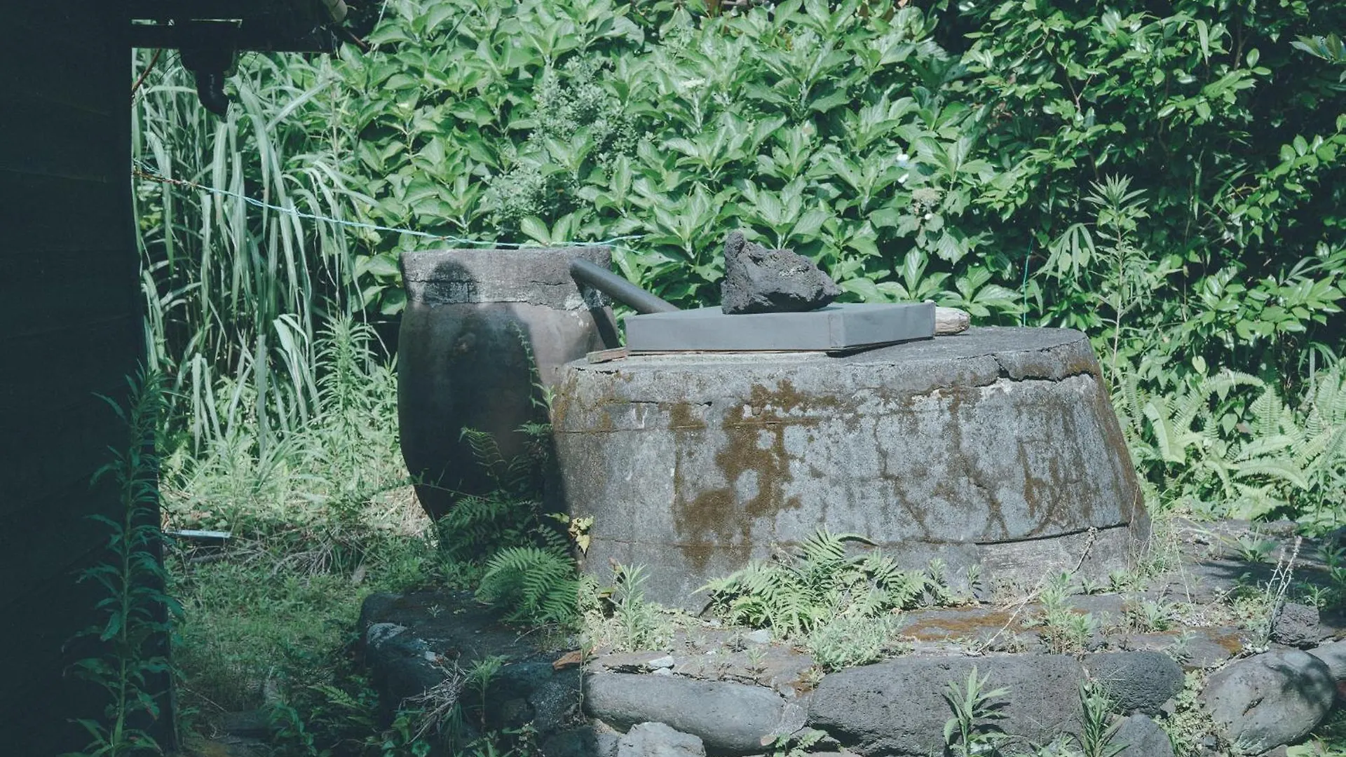 Shimayado Kanasa Oshima